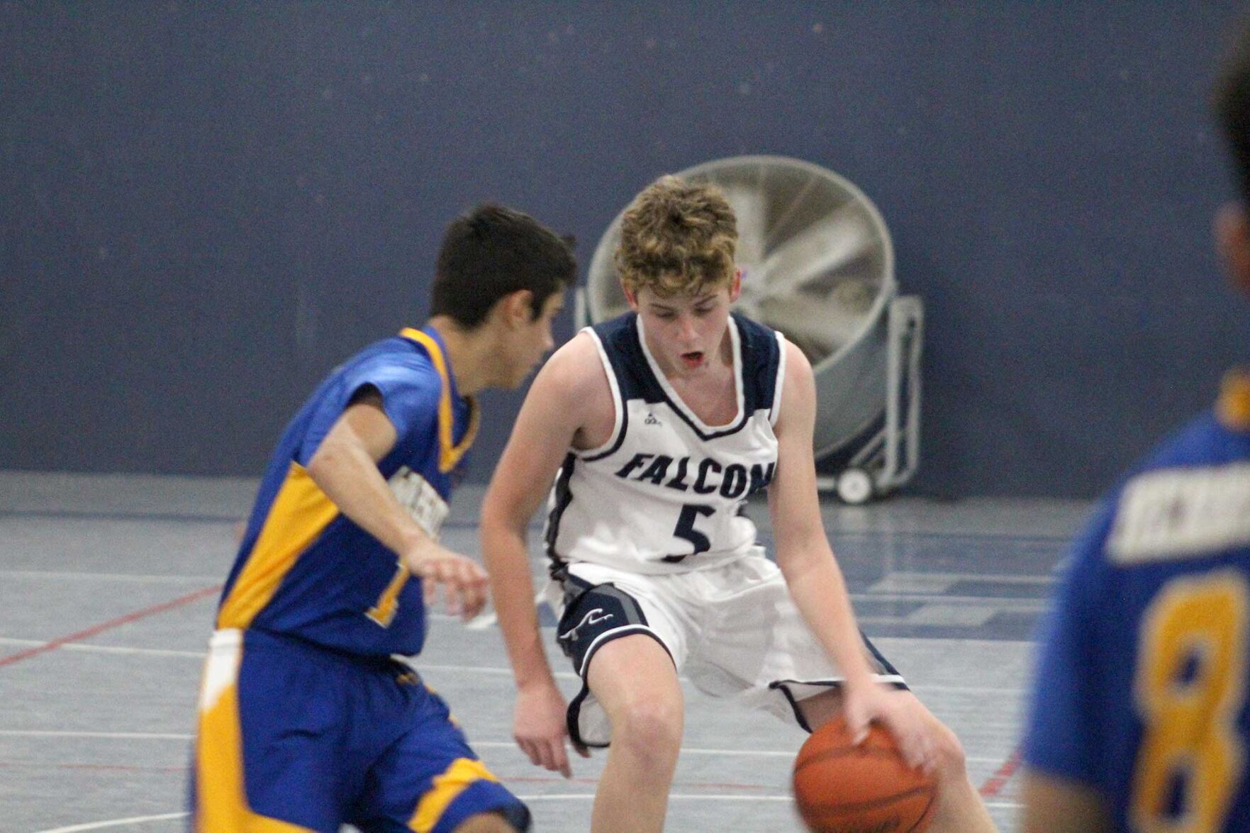Falcon basketball